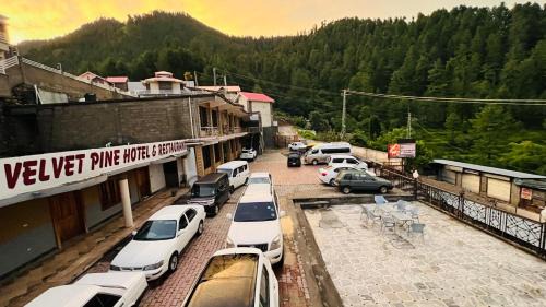 Velvet Pine Hotel