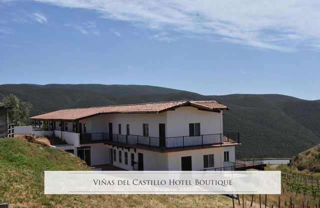 Viñas del Castillo
