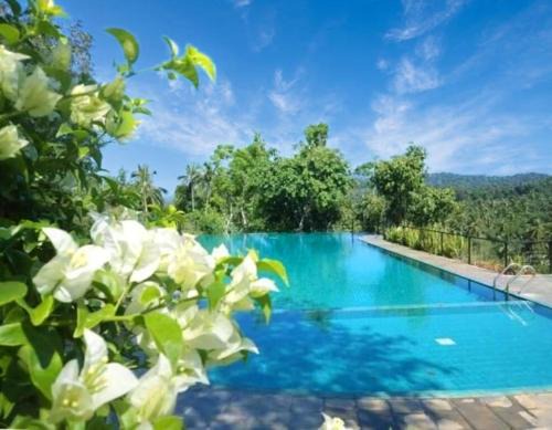 Victoria Range Holiday Villas