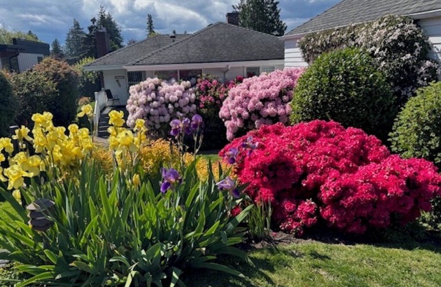 Ver Inicio - West Seattle, 1mo. min. Cerca de Puget Sound, Parques y Transporte