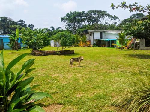 Villa 1200m2 de jardin "100m plage"