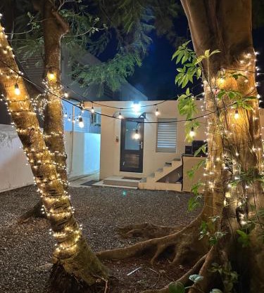 Villa Bamboo 2