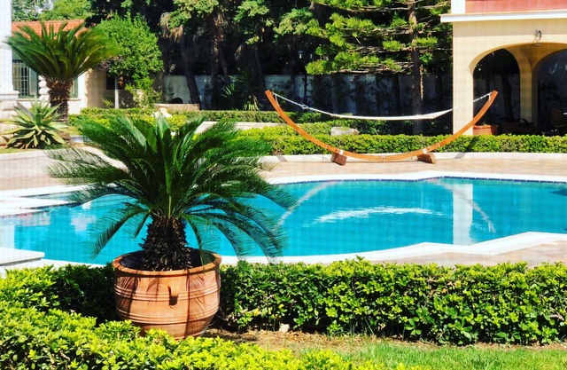 Villa Dolphin. Villa de lujo en la playa