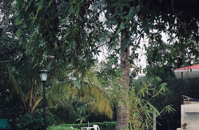 Villa Selah