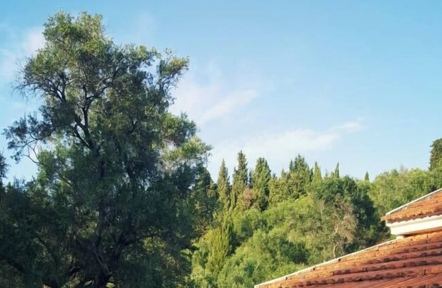 Villa con piscina privada Afionas Corfú