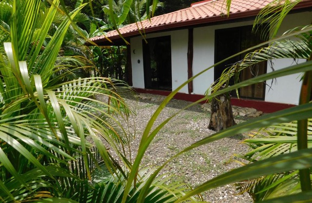 Villas jungle 5