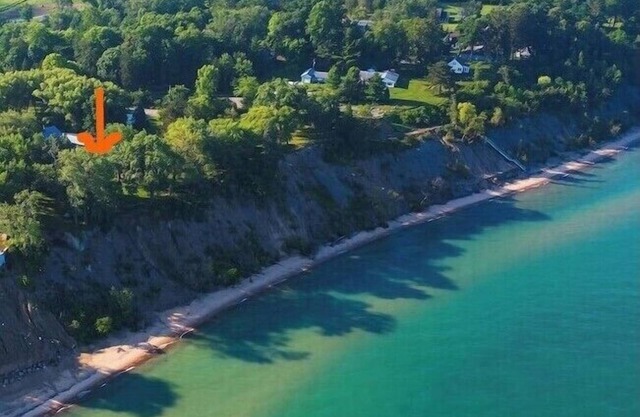 Vista Michigana, Vista Michigana
