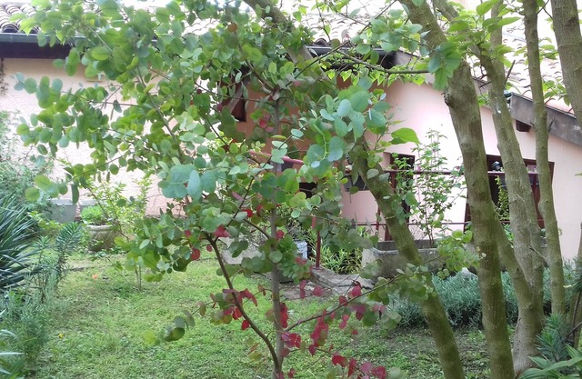 Vrbo Property