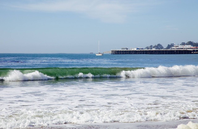 ¡Camina hasta Seabright Beach, Boardwalk, Harbour desde tu acogedor refugio de playa!
