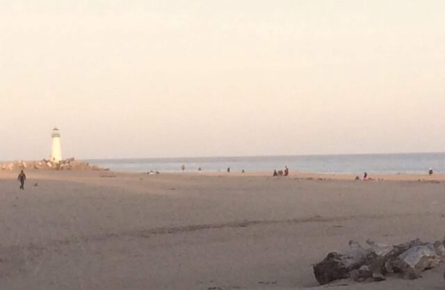 ¡Camine hasta la playa Seabright, el paseo marítimo de Santa Cruz y el puerto deportivo!