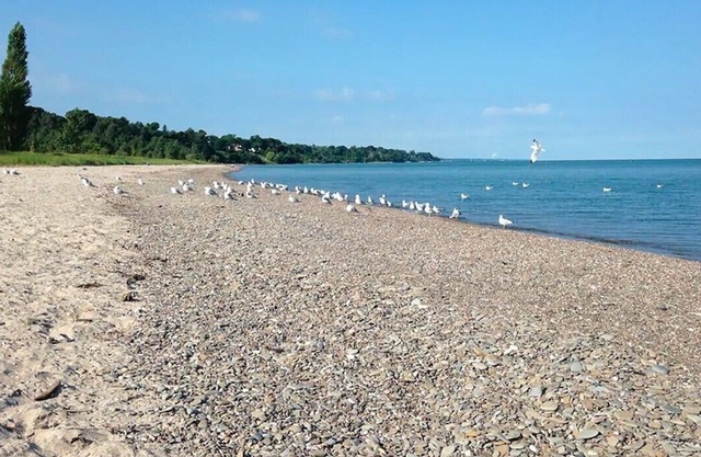 Escape de la playa relajante