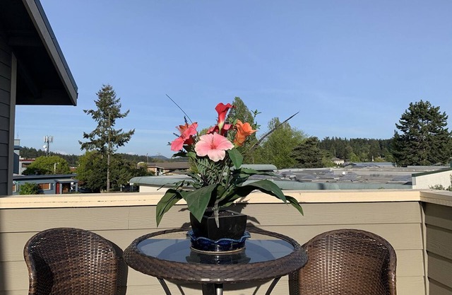 Warm and Bright in the Heart of Downtown Friday Harbor
