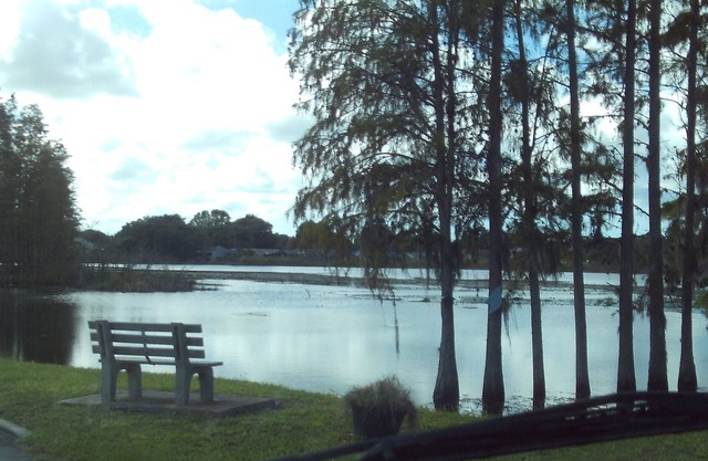 Hermosa Florida en el lago en New Port Richey