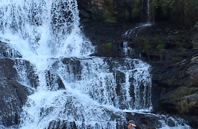 Waterfall Cottage en Cane Creek Falls, 2BR / 2BA a la vista y el sonido de las cataratas