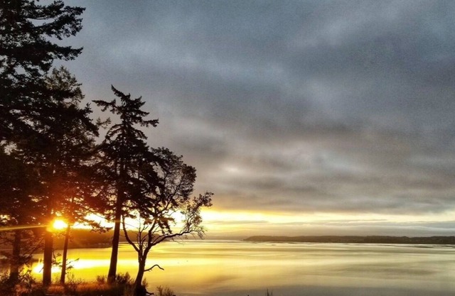 Waterfront AND tucked in the woods! Such a great escape.