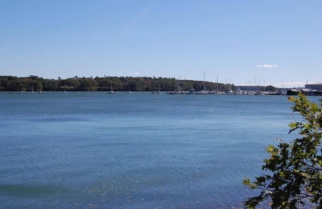 Waterfront Cottage: Vistas espectaculares! Incluye kayaks, bicicletas, parrilla, fogata