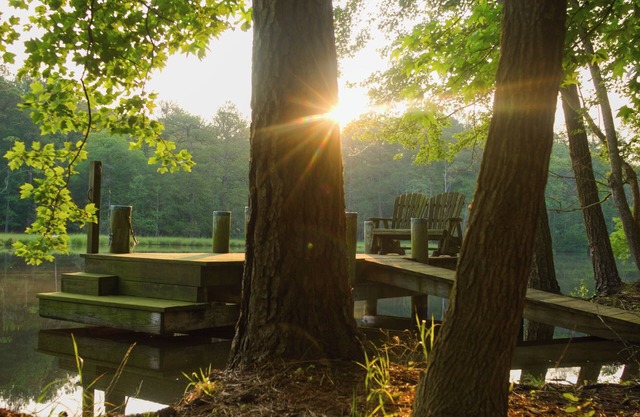 Waterfront w/ Kayaks Firepit 100Mbs Inet EV Chrgr Near Assateague, Berlin, OC!