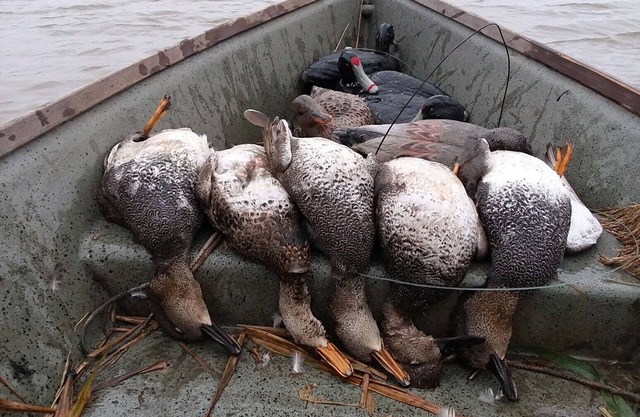 WB Outfitters Lodge de pesca y caza-Casa entera