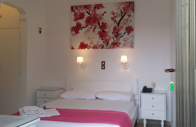 Bienvenido al Hotel Rachel
