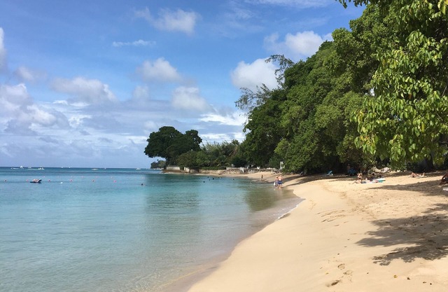 West Coast Paradise - Less than 3 min walk to Gibbes Beach!