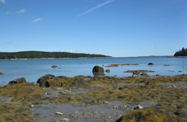 Cabaña de abedul blanco - Webb Cove