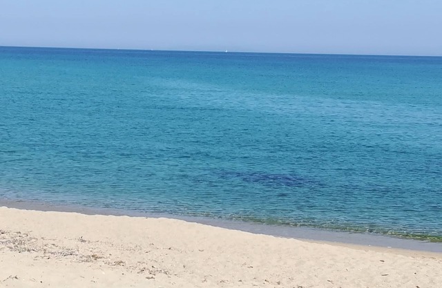 Apartamento "WHITE & SWEET HOME" frente al mar con piscina