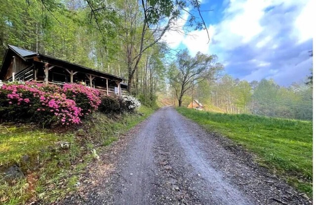 WNC Cabin: Perfect family basecamp or getaway!