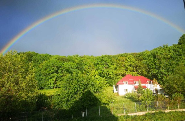 Wonderfull villa in a quiet garden — 5 min from Dino Park and Rasnov Citadelle!!