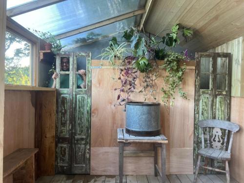 Wood Cabin & 4 Large Bell Tents - Hapus Hideaway
