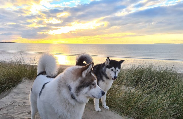 Y Branwen Hotel - Adults Only and Dog Friendly