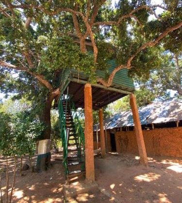 Yala Wild Tree House