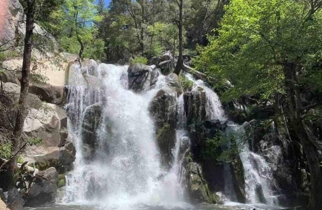 Chalet de Yosemite en The Pines-Una cabaña rústica Retiro