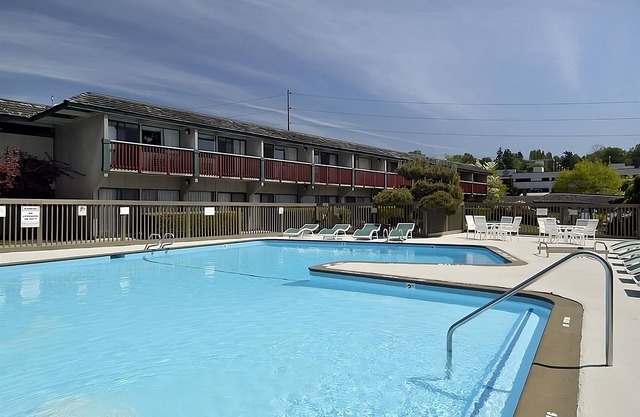 Your Home in Bellevue! 2 Comfortable Units! Comes with FREE Breakfast!