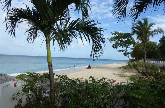 Zenbreak Freshwater Beachfront 5