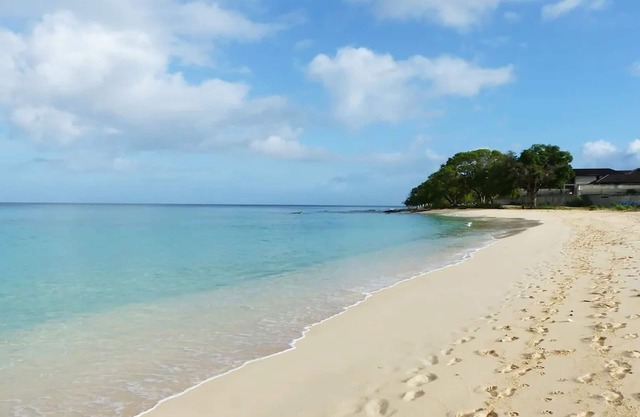 Zenbreak Freshwater Beachfront 6