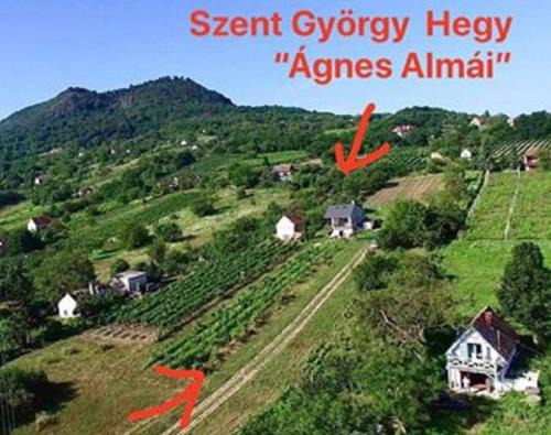 Kisapati Casa | Ágnes almái Ágnes apples