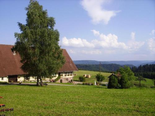 Wolfach - Saint Roman Casa | Äckerhof