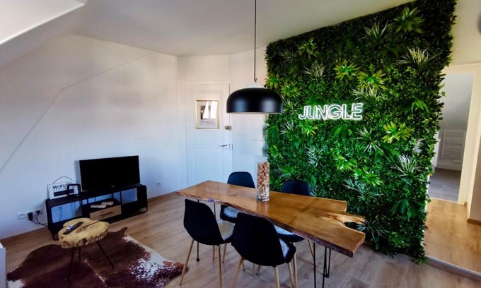 Mulhouse Apartamento | ÉVASION JUNGLE - Wifi & Netflix !