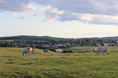Lesna Casa | Čtyři pokoje