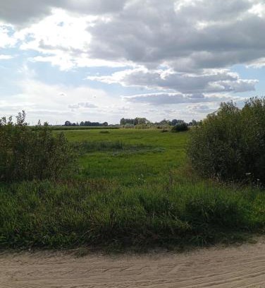 Hajnowka Otro | ŁĄKA NA WYŁĄCZNOŚĆ NA PODLASKIEJ WSI HAJNÓWKA BIAŁOWIEŻA namiot, biwak, kemping