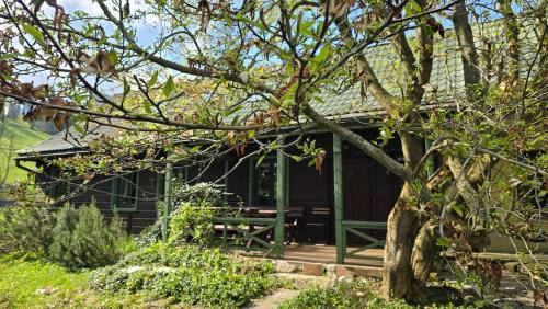 Lapsze Nizne Chalet De Esquí | Łapszanka 29
