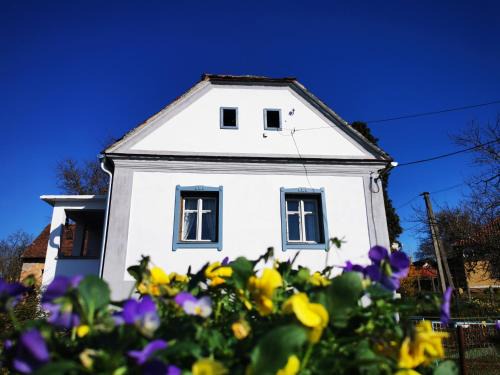 Hegyhatszentjakab Apartamento | Őrség Kincse Udvarház