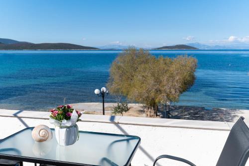 Marmari Apartamento | Ο Μόλος