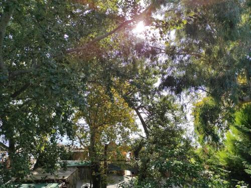 Kala Nera Apartamento | Σπίτι στην ακροθαλασσιά Casa al mare