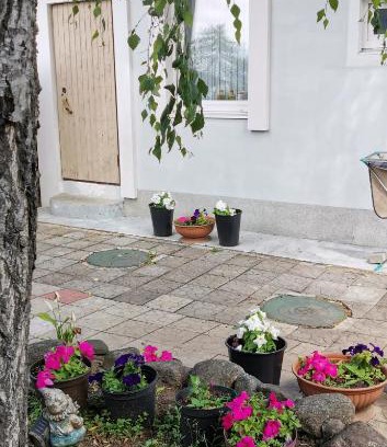 Kurortny District Apartamento | Апартаменты в Песочном