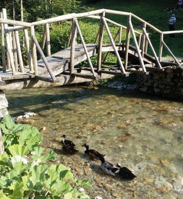 Montenegro Apartamento | Апартман Снежана