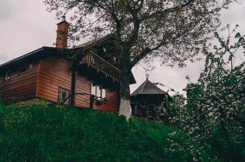 Yaremche Casa | Будиночок в Карпатах