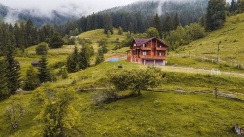 Verkhovyna Cabina | Вище за хмари