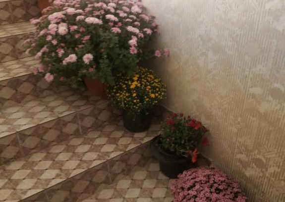 Osh Casa | Гостевой дом Мариям