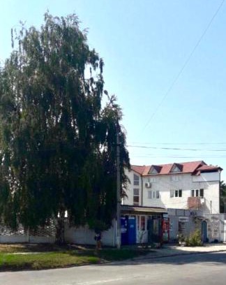Chernovtsy Apartamento | Квартира